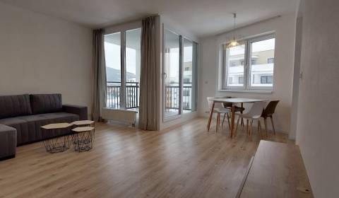 Mieten 2-Zimmer-Wohnung, 2-Zimmer-Wohnung, Vladimíra Predmerského, Tre