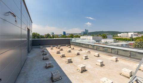 Mieten Büros, Büros, Elektrárenská, Bratislava - Nové Mesto, Slowakei