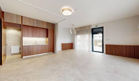 Mieten Geschäftsräumlichkeiten, Geschäftsräumlichkeiten, Bernolákova, 