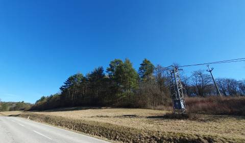 Kaufen landwirtsch. Grundstücke, landwirtsch. Grundstücke, Myjava, Slo