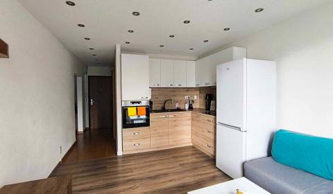 Mieten 1-Zimmer-Wohnung, 1-Zimmer-Wohnung, Malá okružná, Partizánske, 