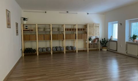 Mieten Geschäftsräumlichkeiten, Geschäftsräumlichkeiten, E.B. Lukáča, 