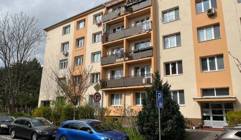 Mieten 1-Zimmer-Wohnung, 1-Zimmer-Wohnung, Kadnárová, Bratislava - Rač