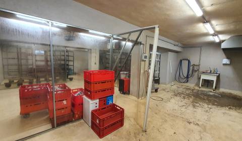 Kaufen Industrieräumlichkeiten, Industrieräumlichkeiten, Veľký Krtíš, 