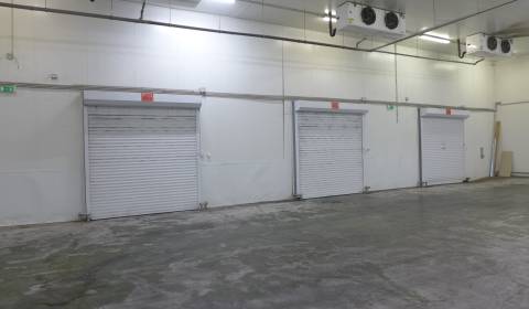 Mieten Lager und Hallen, Lager und Hallen, Bratislava - Rača, Slowakei