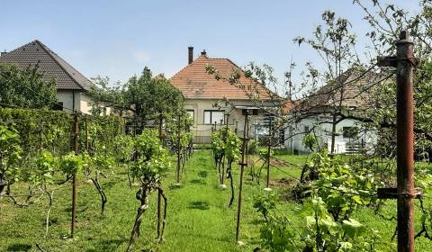 Kaufen Einfamilienhaus, Einfamilienhaus, Hlavná, Trnava, Slowakei