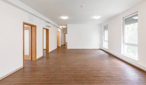 Mieten Büros, Büros, Pluhová, Bratislava - Nové Mesto, Slowakei