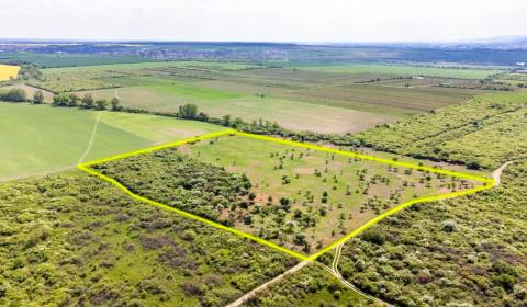 Kaufen Baugrund, Baugrund, Dolná, Pezinok, Slowakei