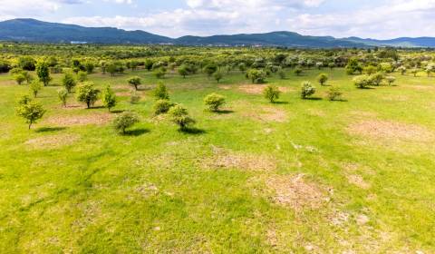 Kaufen Baugrund, Baugrund, Dolná, Pezinok, Slowakei