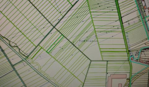 Kaufen landwirtsch. Grundstücke, landwirtsch. Grundstücke, Levice, Slo