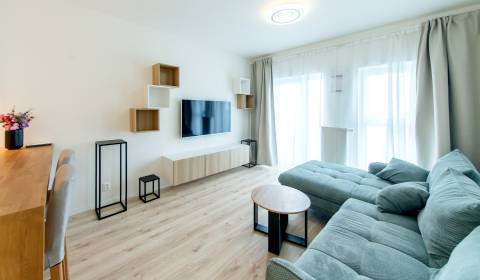 Mieten 2-Zimmer-Wohnung, 2-Zimmer-Wohnung, Labutia, Bratislava - Petrž