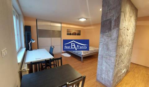 Mieten 1-Zimmer-Wohnung, 1-Zimmer-Wohnung, Wilsonova, Bratislava - Sta
