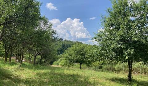 Kaufen Baugrundstück Erholung, Baugrundstück Erholung, Púchov, Slowake