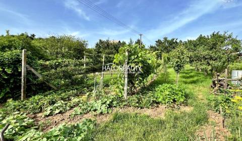 Kaufen Baugrundstück Erholung, Levice, Slowakei