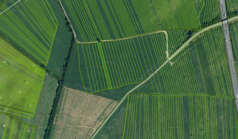 Kaufen landwirtsch. Grundstücke, landwirtsch. Grundstücke, Malacky, Sl