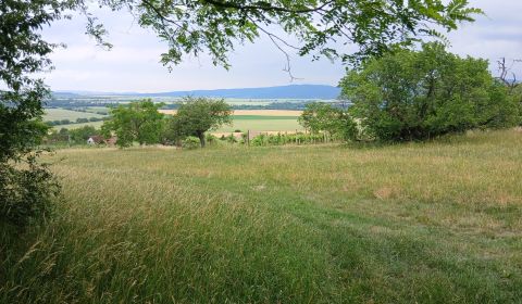 Kaufen Garten, Garten, Levice, Slowakei