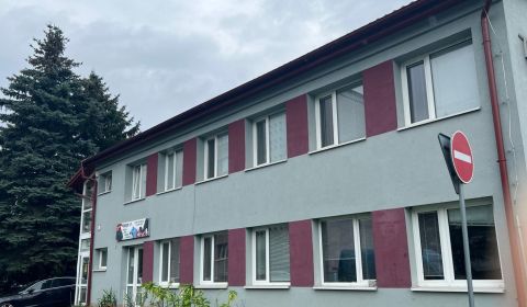 Mieten Geschäftsräumlichkeiten, Geschäftsräumlichkeiten, Trieda SNP, B