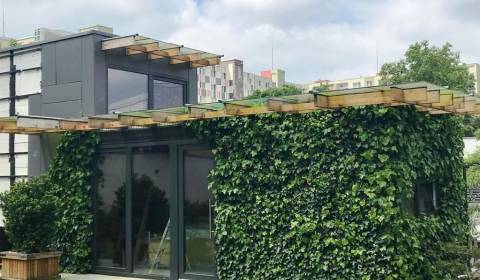 Mieten Einfamilienhaus, Einfamilienhaus, Korytnická, Bratislava - Podu