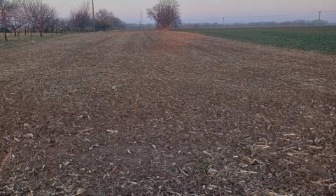 Kaufen landwirtsch. Grundstücke, landwirtsch. Grundstücke, Košúty, Gal
