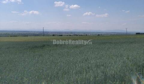 Kaufen landwirtsch. Grundstücke, landwirtsch. Grundstücke, Galanta, Sl