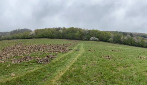 Kaufen landwirtsch. Grundstücke, landwirtsch. Grundstücke, Nové Mesto 