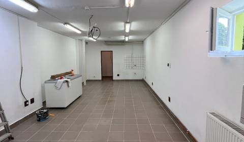 Mieten Geschäftsräumlichkeiten, Geschäftsräumlichkeiten, Záhradná, Čad