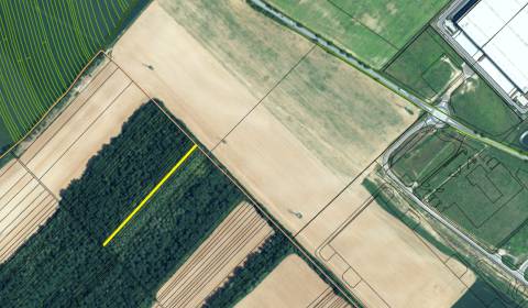 Kaufen landwirtsch. Grundstücke, landwirtsch. Grundstücke, Senec, Slow