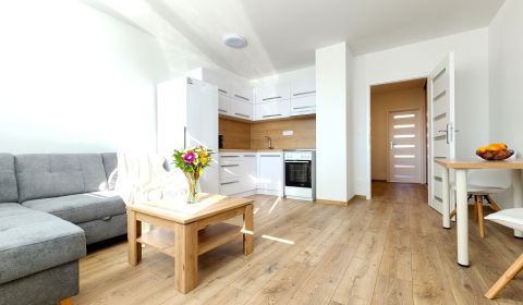 Mieten 2-Zimmer-Wohnung, 2-Zimmer-Wohnung, Prostějovská, Prešov, Slowa