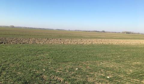 Kaufen landwirtsch. Grundstücke, landwirtsch. Grundstücke, Galanta, Sl