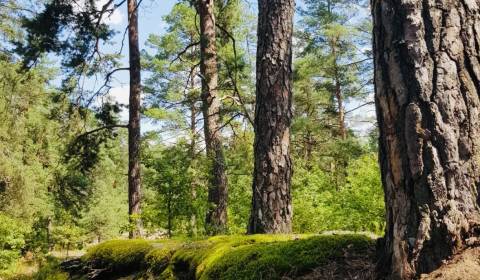 Kaufen landwirtsch. Grundstücke, landwirtsch. Grundstücke, Púchov, Slo