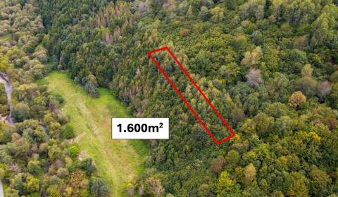 Kaufen landwirtsch. Grundstücke, landwirtsch. Grundstücke, Snina, Slow