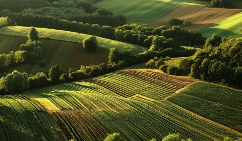 Kaufen landwirtsch. Grundstücke, landwirtsch. Grundstücke, Turany, Mar