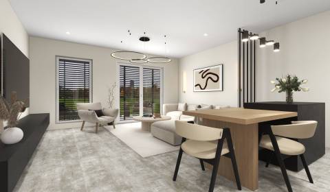 Kaufen Einfamilienhaus, Einfamilienhaus, Vydrany, Dunajská Streda, Slo