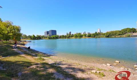 Suche 1-Zimmer-Wohnung, 1-Zimmer-Wohnung, Bratislava - Ružinov, Slowak