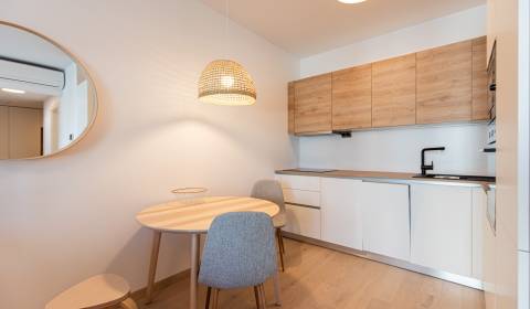 Wohnung zu mieten in Bratislava