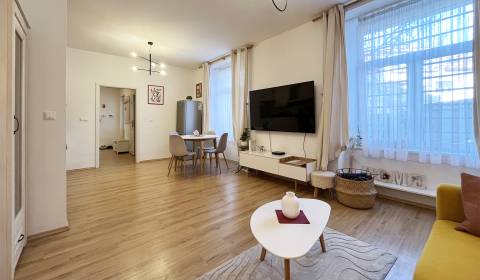 Mieten 2-Zimmer-Wohnung, 2-Zimmer-Wohnung, Dankovského, Bratislava - S