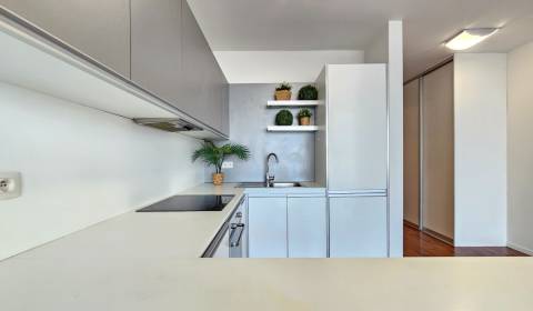 Kaufen 1-Zimmer-Wohnung, 1-Zimmer-Wohnung, Bajkalská, Bratislava - Nov