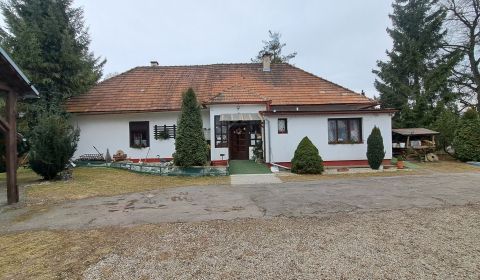 Kaufen Hotels und Pensionen, Hotels und Pensionen, Ivachnová, Ružomber