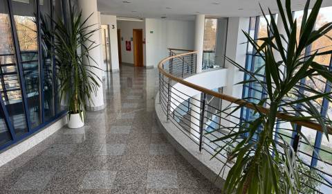 Mieten Büros, Büros, Coboriho, Nitra, Slowakei