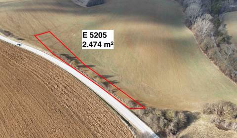 Kaufen landwirtsch. Grundstücke, landwirtsch. Grundstücke, Nové Mesto 