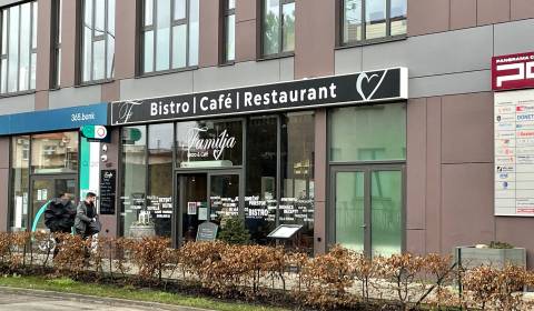 Mieten Geschäftsräumlichkeiten, Geschäftsräumlichkeiten, Moyzesova, Pe