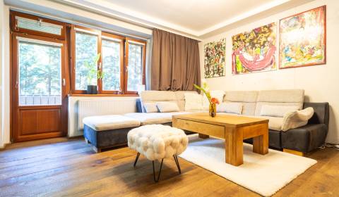 Kaufen 3-Zimmer-Wohnung, 3-Zimmer-Wohnung, Svätoplukova, Košice - Star