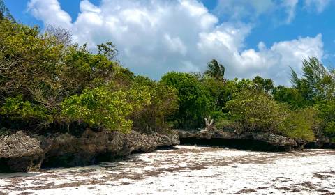 STRANDGRUNDSTÜCK ZU VERKAUFEN IN JAMBIANI