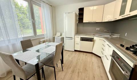 Mieten 2-Zimmer-Wohnung, 2-Zimmer-Wohnung, Robotnícka, Senica, Slowake