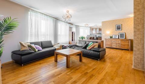 Kaufen 4-Zimmer-Wohnung, 4-Zimmer-Wohnung, Drieňová, Bratislava - Star