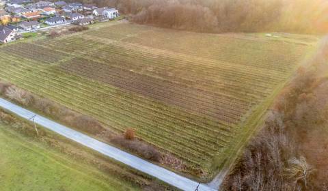 Kaufen landwirtsch. Grundstücke, landwirtsch. Grundstücke, Novosadská,