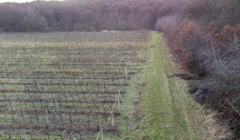 Kaufen landwirtsch. Grundstücke, landwirtsch. Grundstücke, Novosadská,