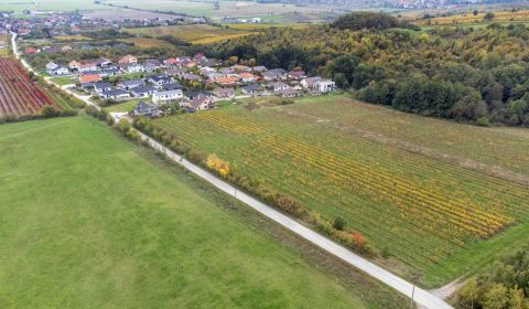 Kaufen landwirtsch. Grundstücke, landwirtsch. Grundstücke, Novosadská,