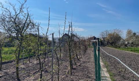 Kaufen Baugrund, Baugrund, Dunajská Streda, Slowakei