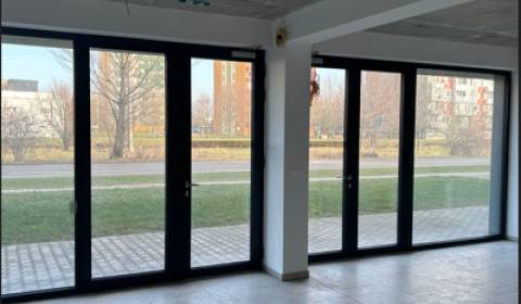 Mieten Geschäftsräumlichkeiten, Geschäftsräumlichkeiten, Okružná, Pezi